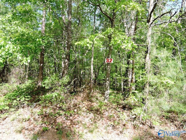 Listing photo 3 for LOT51 Harbor Loop, Jasper AL 35504