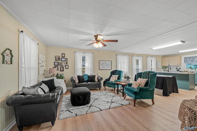 living room featuring light wood-type flooring, ceiling fan, crown molding, and sink