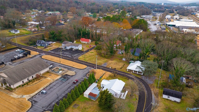 drone / aerial view