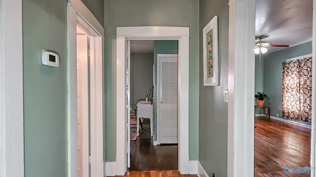 hallway featuring wood-type flooring