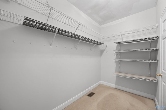 walk in closet featuring carpet flooring