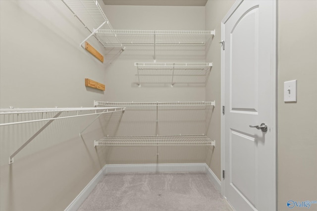 walk in closet featuring light carpet