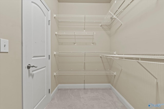 walk in closet featuring light colored carpet