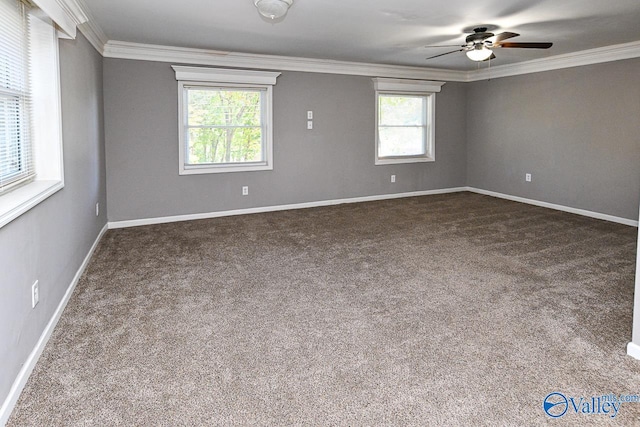 carpeted spare room with plenty of natural light, crown molding, and ceiling fan