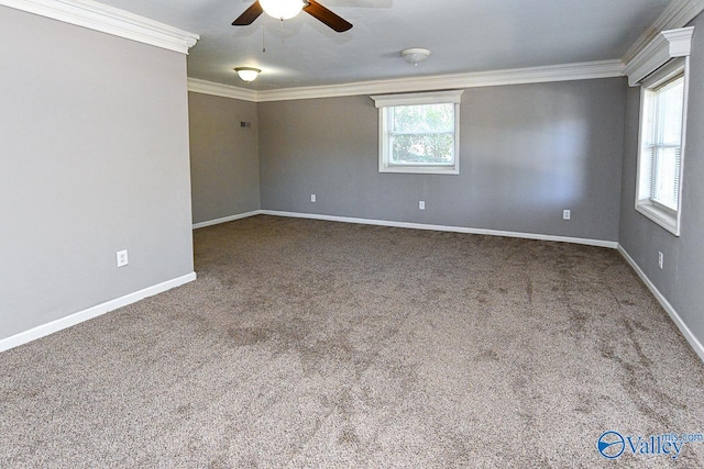 unfurnished room featuring crown molding, ceiling fan, and carpet flooring