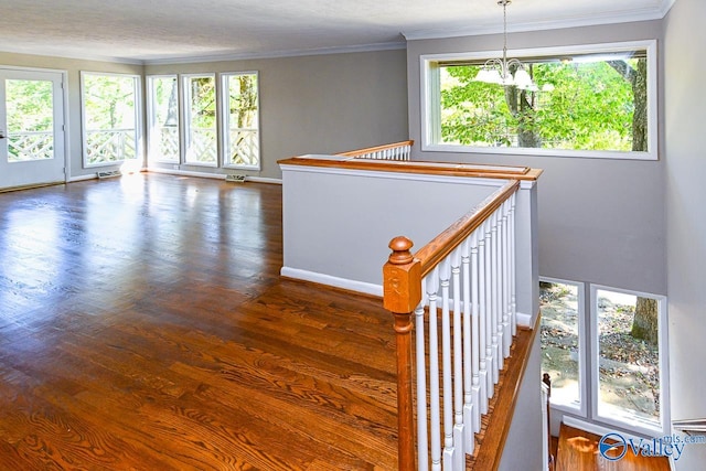 stairs with a chandelier, crown molding, hardwood / wood-style flooring, and a healthy amount of sunlight