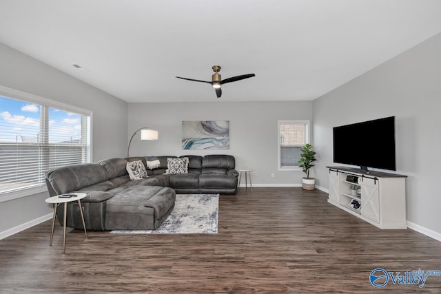 living room with ceiling fan, a wealth of natural light, and dark hardwood / wood-style floors