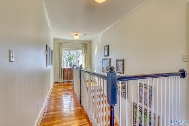 hall featuring light hardwood / wood-style flooring and crown molding