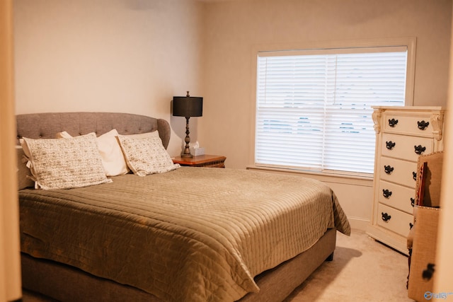 bedroom with carpet floors