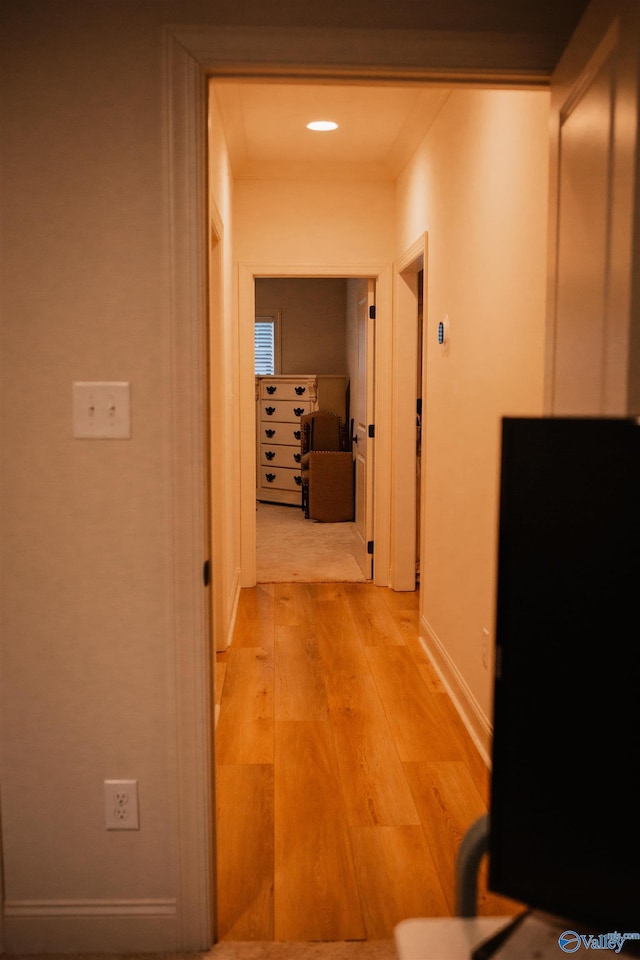 hallway featuring baseboards and light wood-type flooring