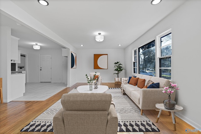 living room featuring light hardwood / wood-style flooring