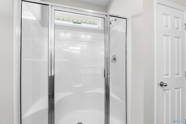 bathroom with a shower stall