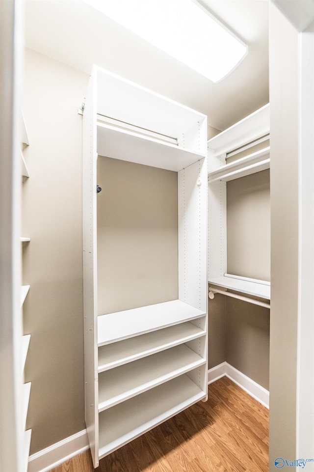 spacious closet with wood-type flooring