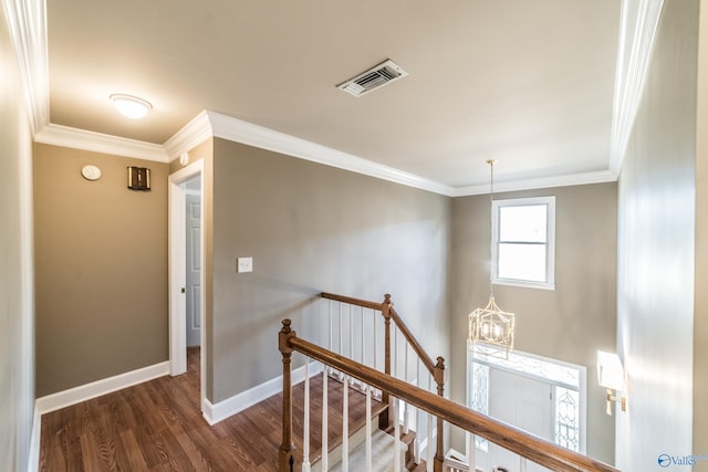 hall with crown molding and dark hardwood / wood-style floors