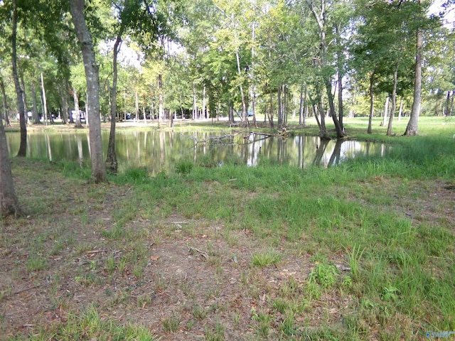 Listing photo 3 for LOT20 County Road 182, Cedar Bluff AL 35959