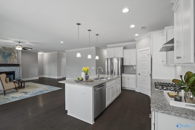 kitchen with a ceiling fan, a sink, stainless steel appliances, dark wood-type flooring, and under cabinet range hood