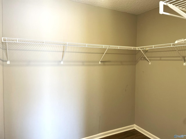 walk in closet with dark wood finished floors