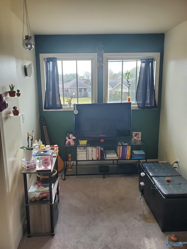 recreation room with carpet floors