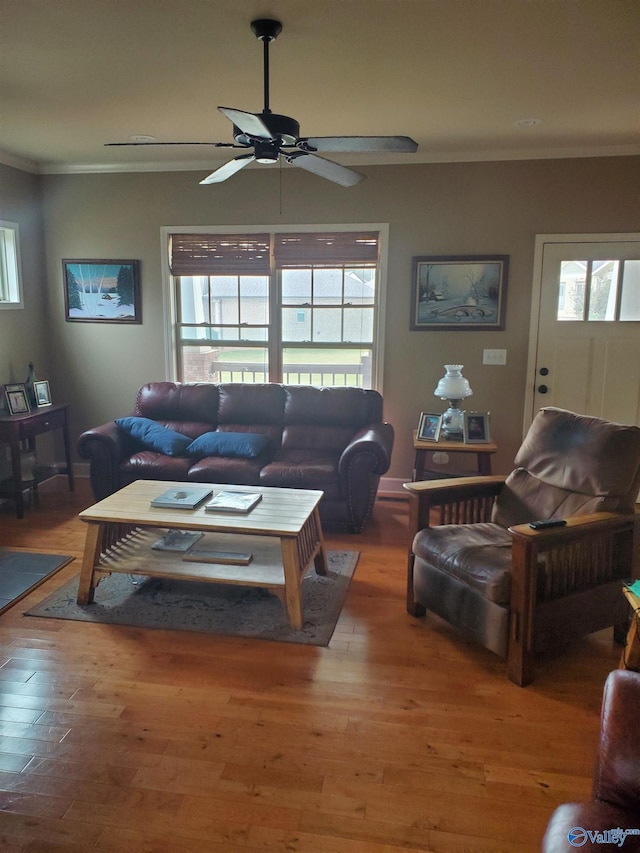 living room with crown molding, ceiling fan, and wood-type flooring