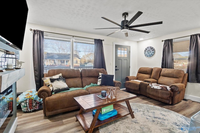 living area with plenty of natural light, a fireplace, and light wood-style floors