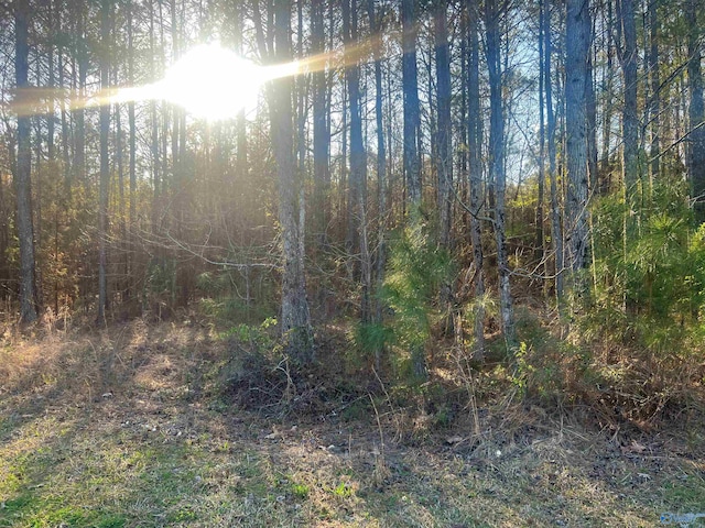 LOT1 Summer Breeze Dr, Cedar Bluff AL, 35959 land for sale