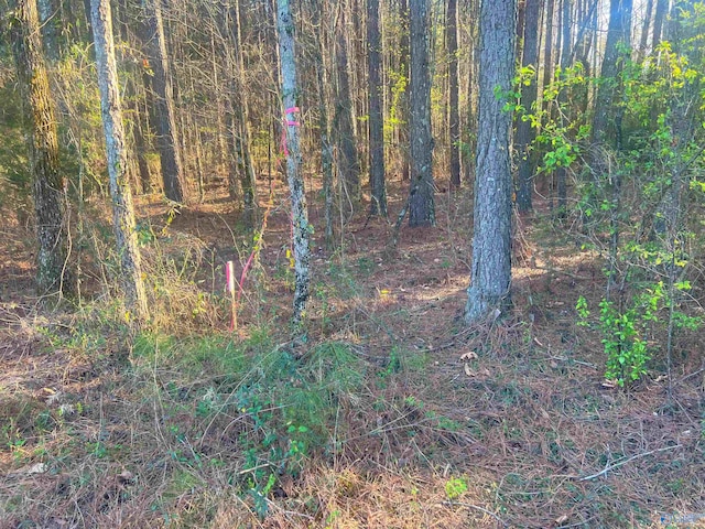 Listing photo 2 for LOT1 Summer Breeze Dr, Cedar Bluff AL 35959