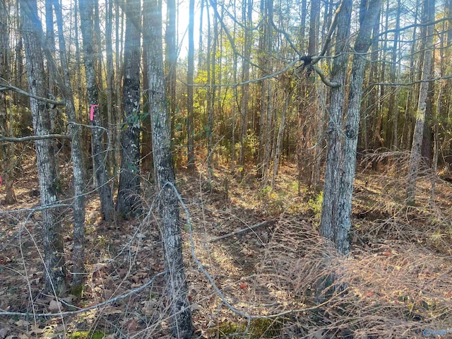 Listing photo 3 for LOT1 Summer Breeze Dr, Cedar Bluff AL 35959