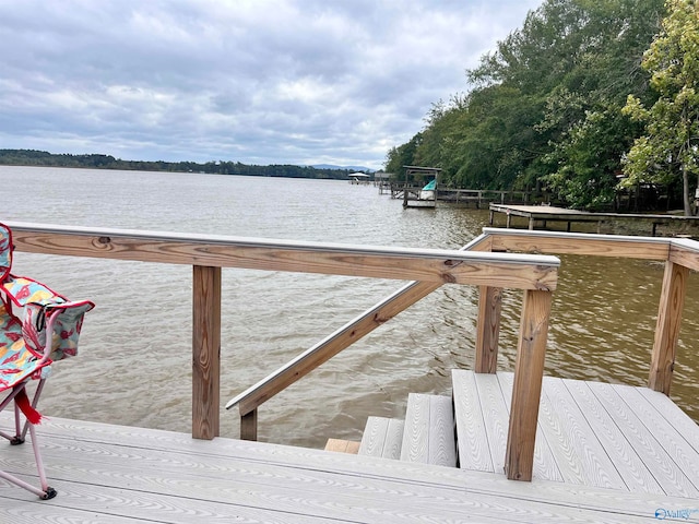 dock area with a water view