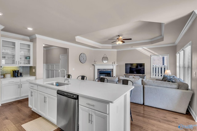 kitchen with sink, a tray ceiling, an island with sink, white cabinets, and stainless steel dishwasher