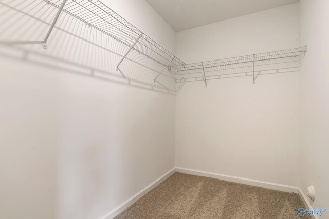 4025 Sherri St SW, Decatur, AL 35603 - spacious closet with carpet
