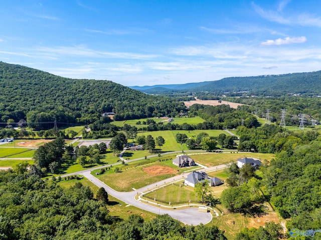 bird's eye view with a mountain view