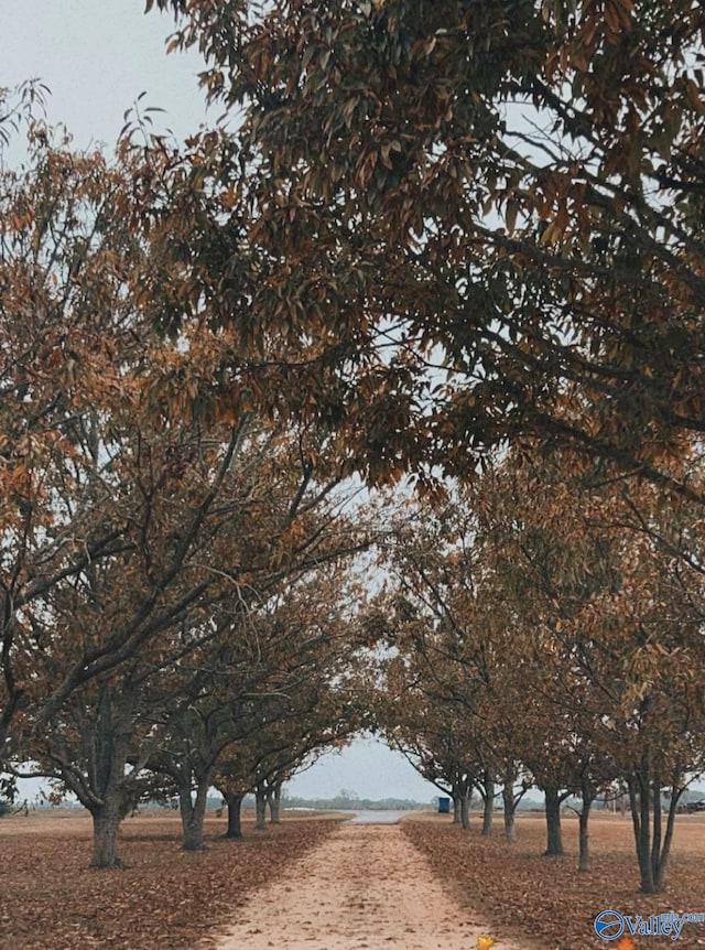 exterior space featuring a rural view