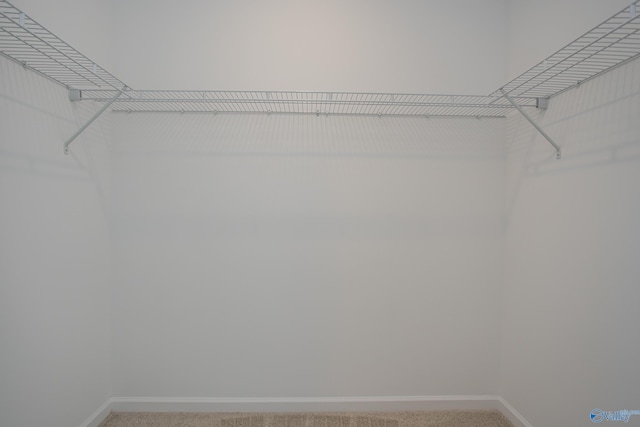 walk in closet with carpet