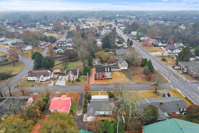 bird's eye view