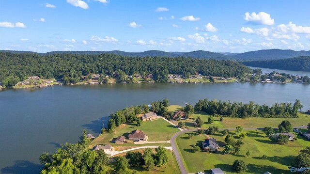 bird's eye view featuring a water and mountain view