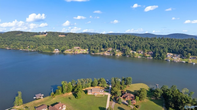 bird's eye view with a water view and a view of trees