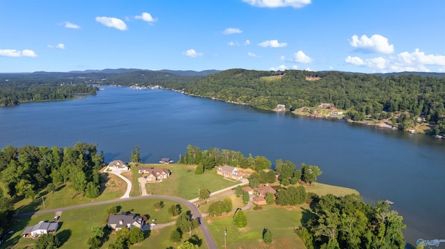 bird's eye view with a water view and a wooded view