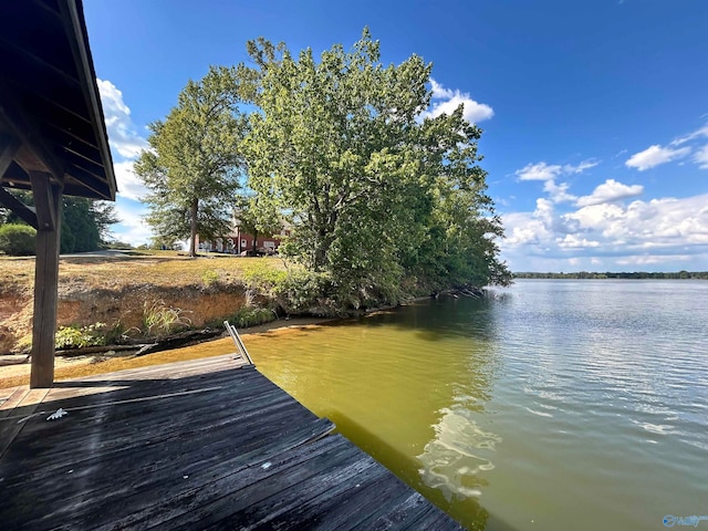 dock area with a water view