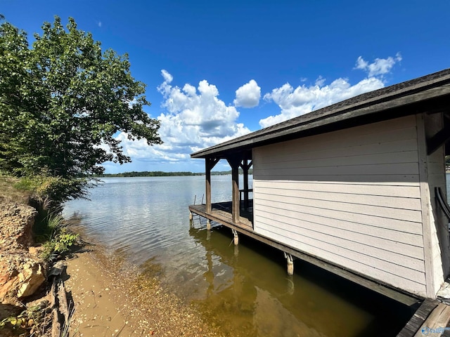 dock area with a water view