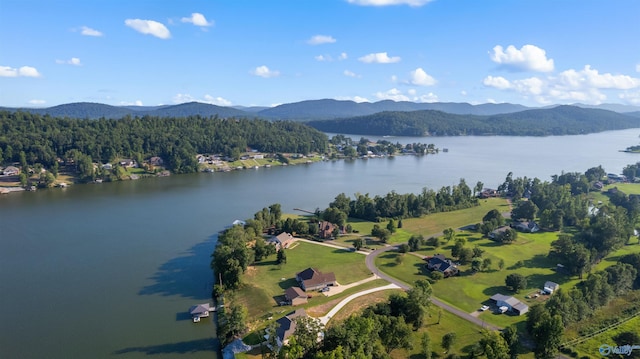 drone / aerial view with a water and mountain view and a view of trees