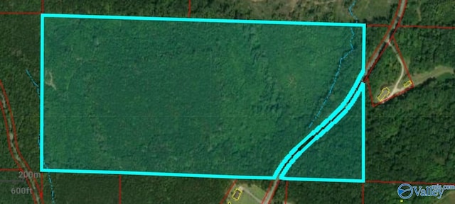 80ACRES Rock Creek Rd, Eva AL, 35621 land for sale