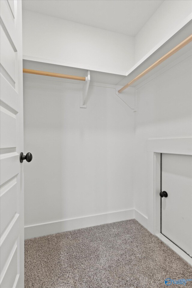 walk in closet featuring carpet flooring