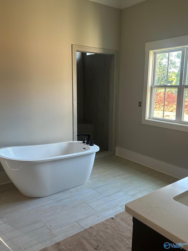 bathroom featuring vanity and a tub