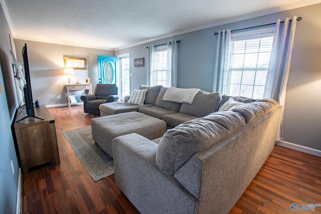 living room with crown molding, dark wood-type flooring, and a textured ceiling