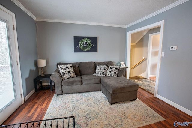 living room with ornamental molding, dark hardwood / wood-style floors, and a textured ceiling