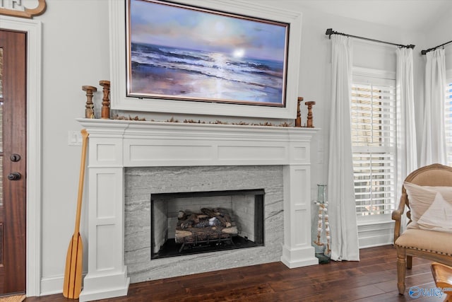 living area with dark hardwood / wood-style floors