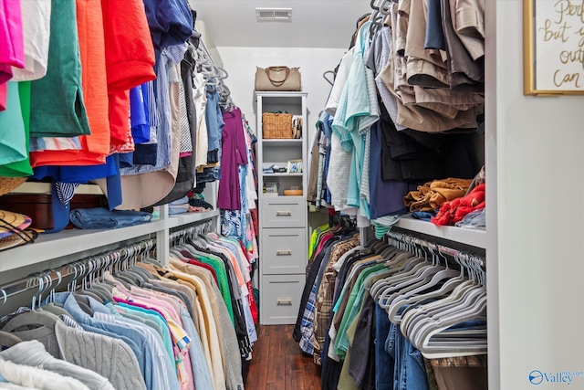 spacious closet featuring dark wood-type flooring