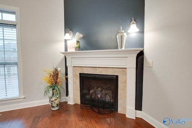 room details featuring a fireplace and hardwood / wood-style flooring