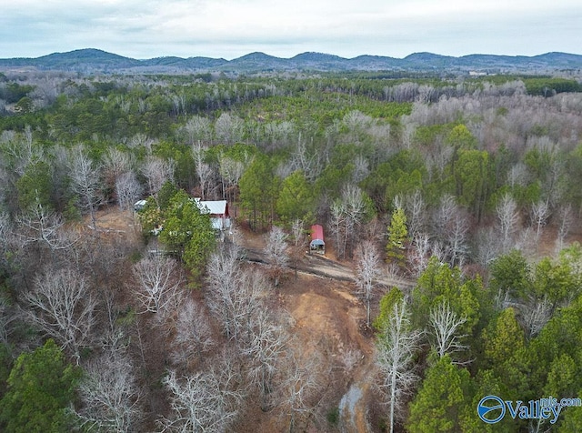 bird's eye view with a mountain view