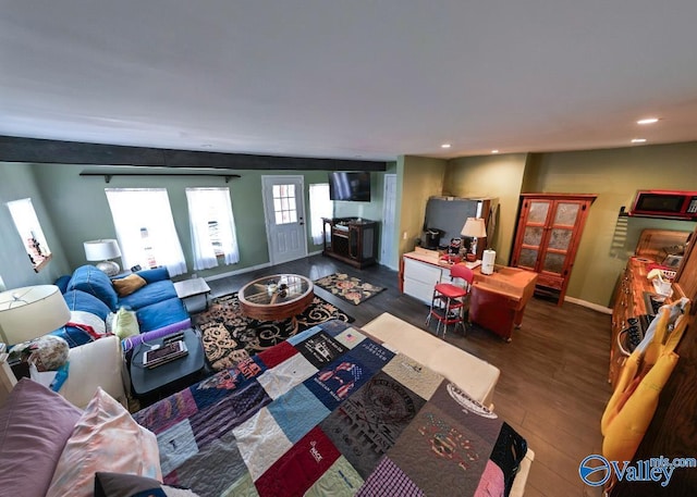 living room with dark hardwood / wood-style floors